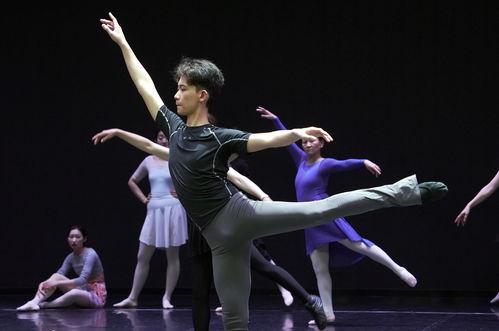 芭蕾爆料真人视频大全集,揭秘真人视频大全集  第3张