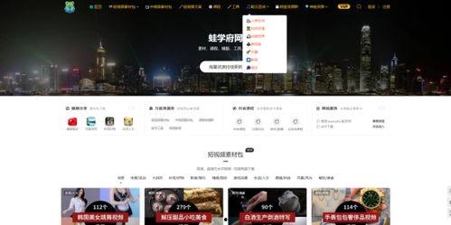 宝妈爆料视频素材网站,热门视频素材网站大盘点  第2张